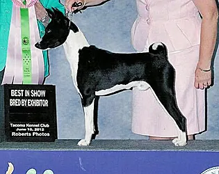 Gus